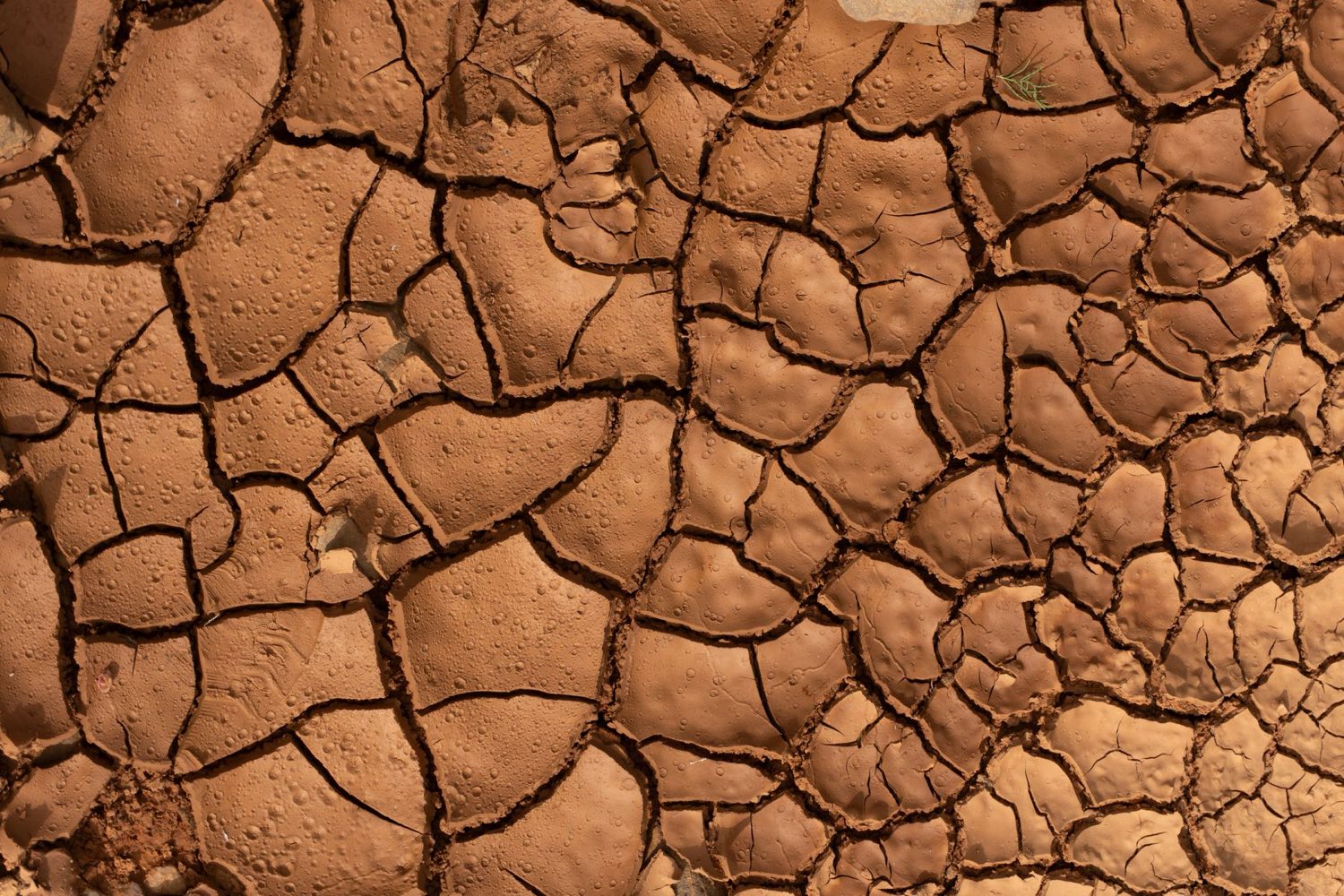 Dry clay soil surface cracked into plates