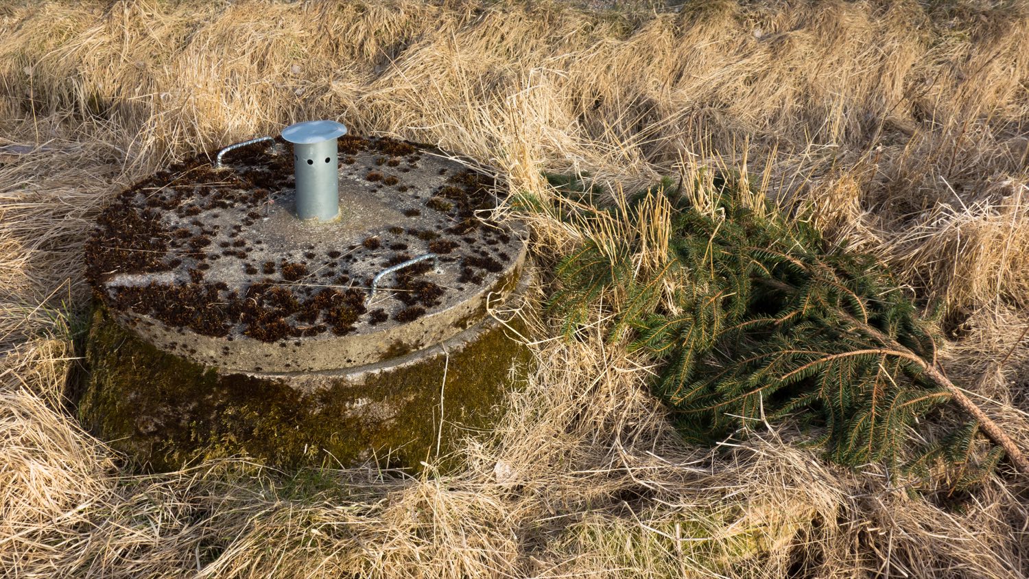 Concrete septic tank lid with a vent cap in dry grass